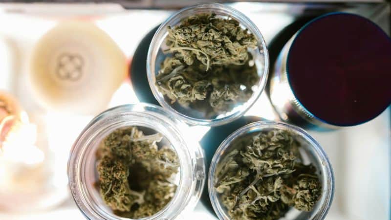 This strain boasts an impressive range of THC, usually between 16% and 28%.