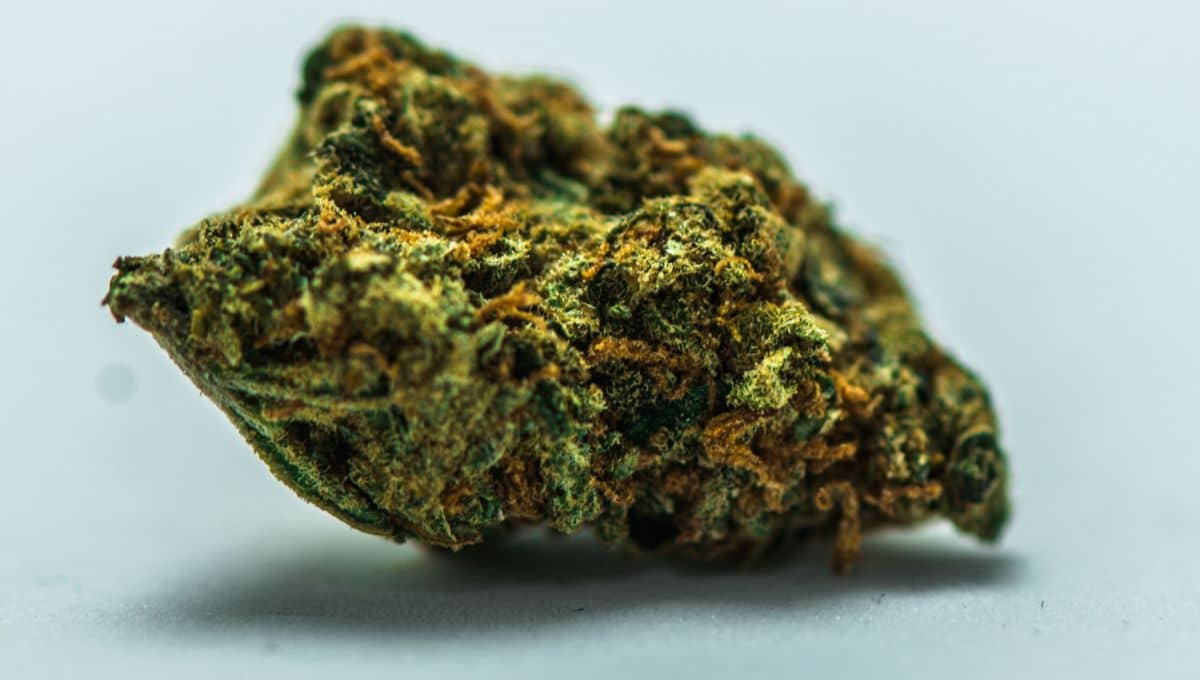 The Alien OG Strain: This Isn't a High, It's an Out-of-Body Euphoria