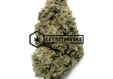 Apple Fritter - Online Dispensary Canada - Buyweedpacks