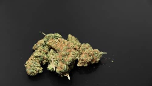 The Black Gas strain boasts 70% indica, 30% sativa, and a THC level ranging between 16% & 19%. It has a gassy scent with herbal & pine hints.