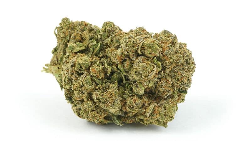 There’s more to the flavour and effects of the Blue Cheese strain. It’s also a hybrid that’s visually stunning and aesthetically pleasing.