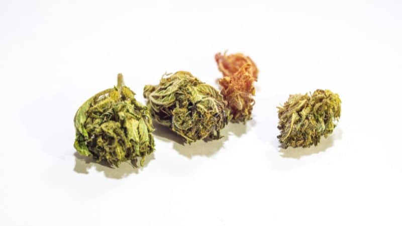 Cannabichromene is another non-intoxicating cannabinoid present in the cannabis plant.