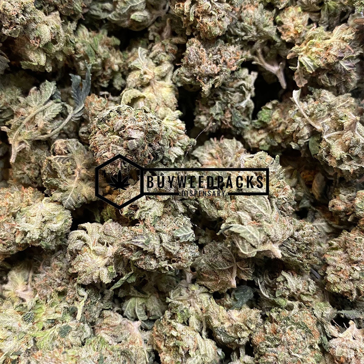 California Kush | Buy Online Weeds | Buyweedpacks