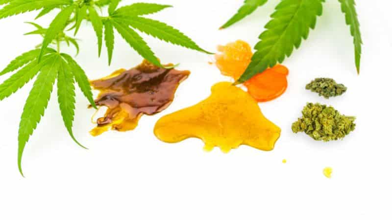 cannabinoids, which are a group of chemicals that interact with the human endocannabinoid system.