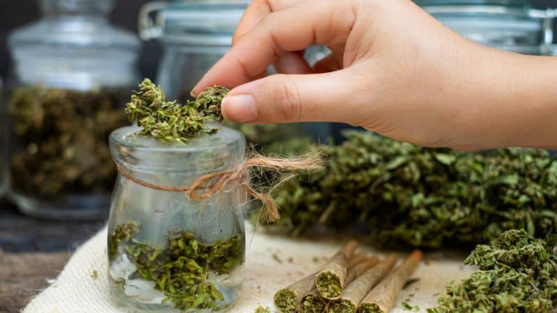 Craft canna is small-batch, high-quality cannabis that’s grown with serious care and intention. Unlike large-scale producers, craft growers focus on flavour, potency, and purity, not just churning out volume.