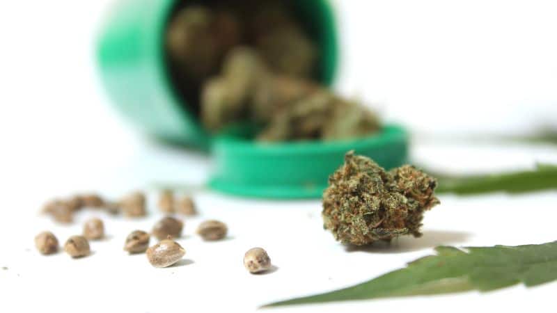 As a sativa-based cannabis hybrid, it provides the uplifting cerebral buzz that pairs well with things like hiking, cycling, and snowboarding.