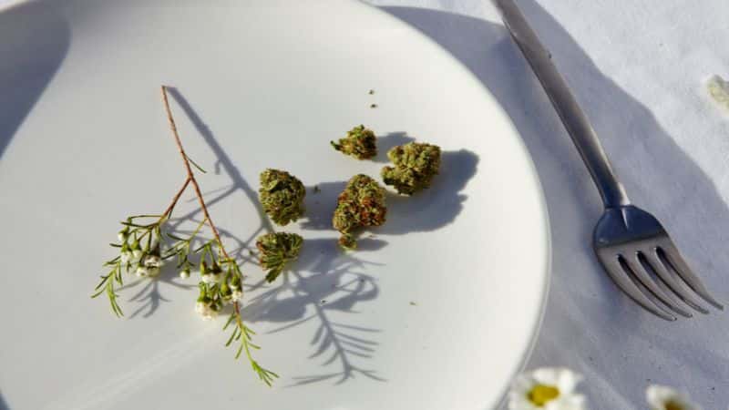 The Diesel Sour overall smell is largely defined but what terpenes are in the weed. The dominant Diesel Sour terpenes are what give it both that smell and those effects.