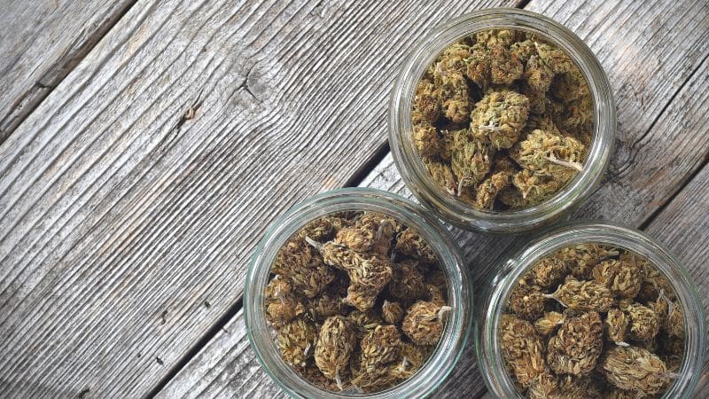 Since craft weed involves these extra steps, you’ll often see it in the top shelf cannabis category. Buy craft weed in Canada: it’s the best you can get.