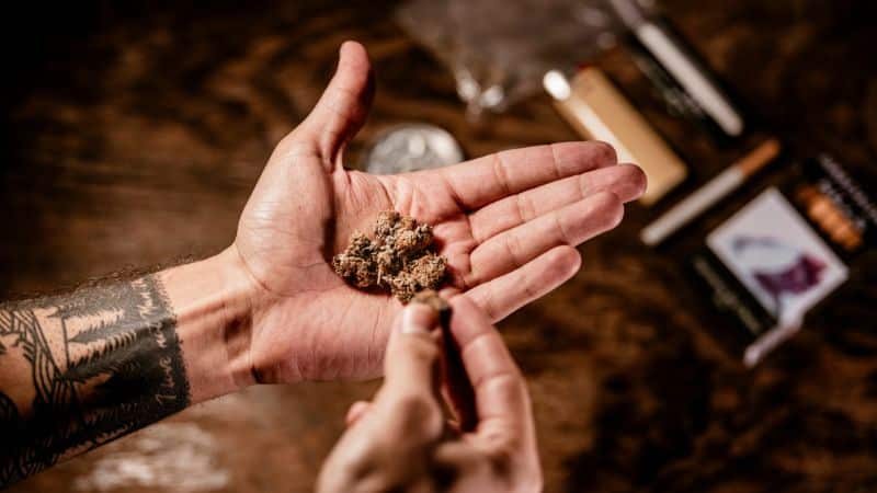 Gas Monkey is an indica-dominant hybrid that combines two legendary strains, the Grease Monkey and Gas Mask strain. 