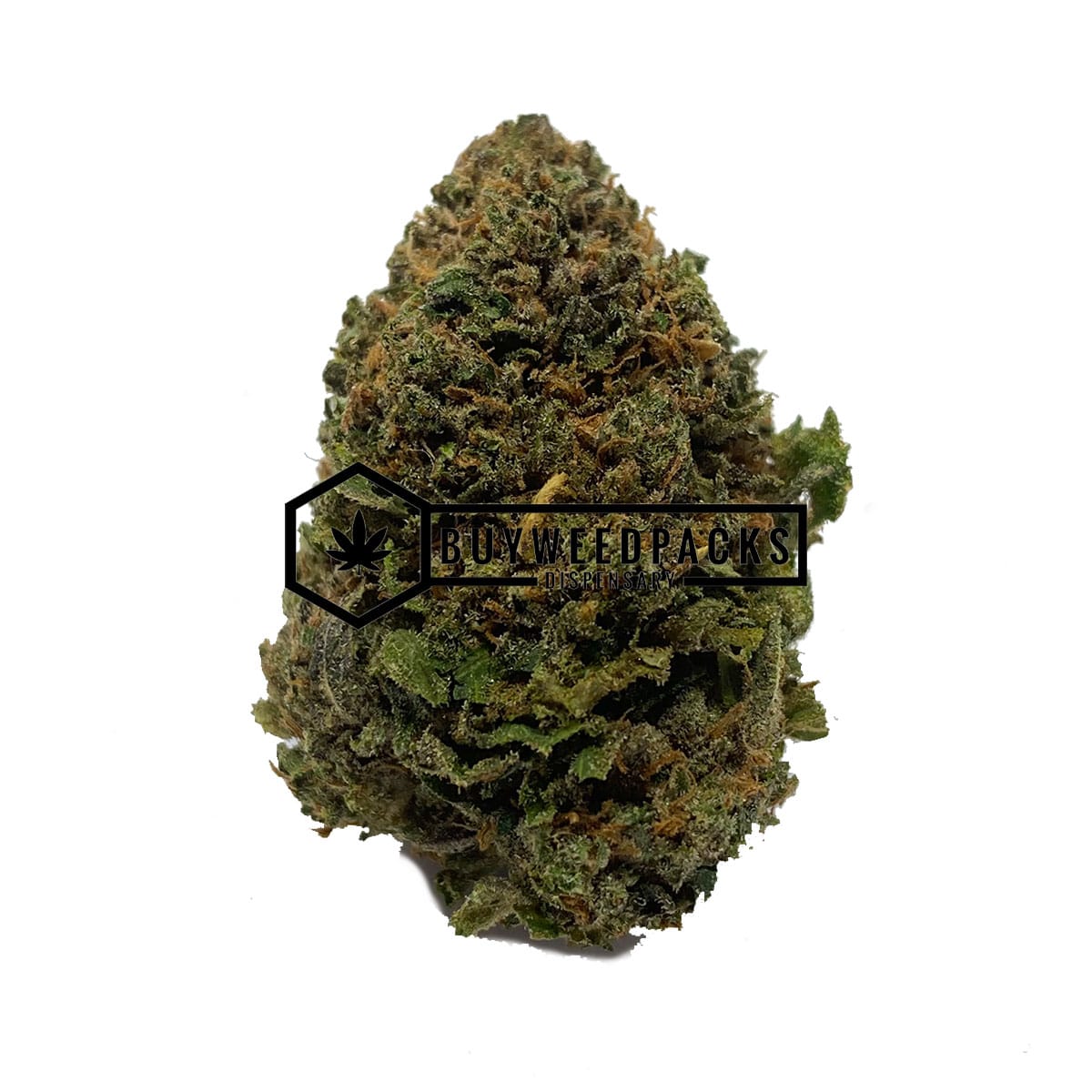 Guicy Banger | Buy Online Weeds | Buyweedpacks