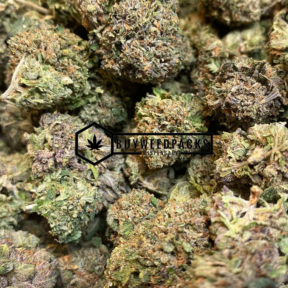 Guicy Banger | Buy Online Weeds | Buyweedpacks