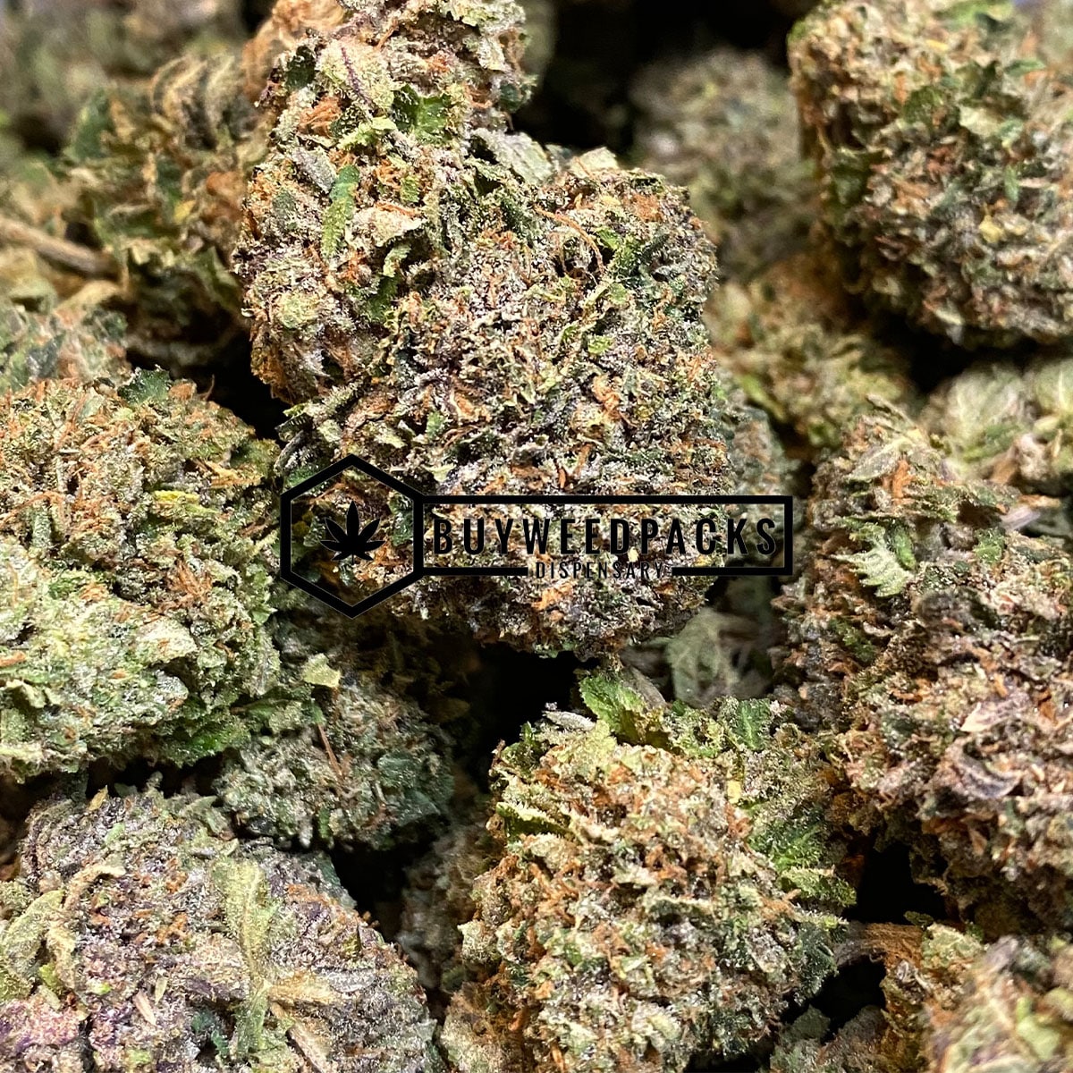 Guicy Banger | Buy Online Weeds | Buyweedpacks