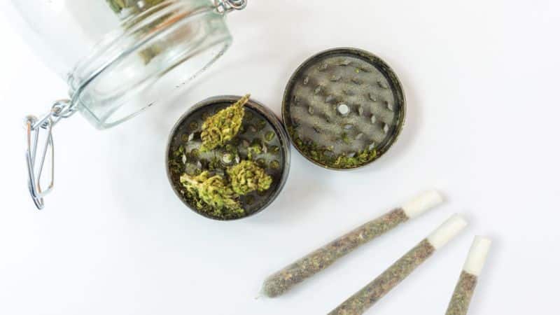 Gas Monkey offers more than just a heavy high; it delivers an all-around cannabis experience. From the moment you open the bag and catch that gassy, spicy aroma, you know you’re in for something special. 