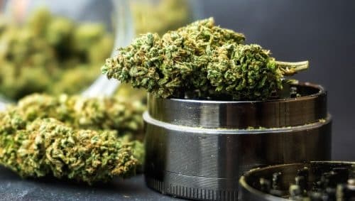 Indica bud produces a relaxing, calming & sedating experience. Learn more about the bestselling indica bud strains at our weed store online.