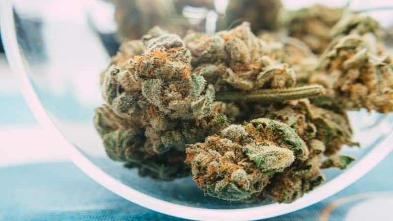 one of its parent strains, OG LA Affie, carries "LA" in its name, representing its Los Angeles roots.