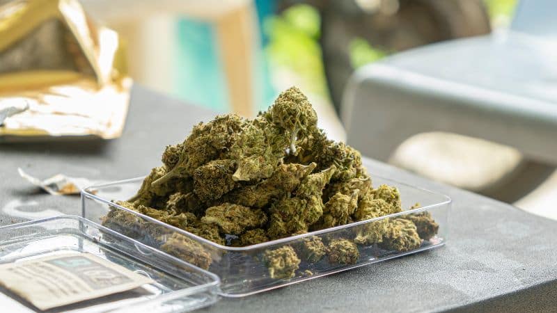 Acapulco Gold weed offers a unique combination of mental clarity and physical relief that’s ideal for those who need a daytime strain with therapeutic potential.