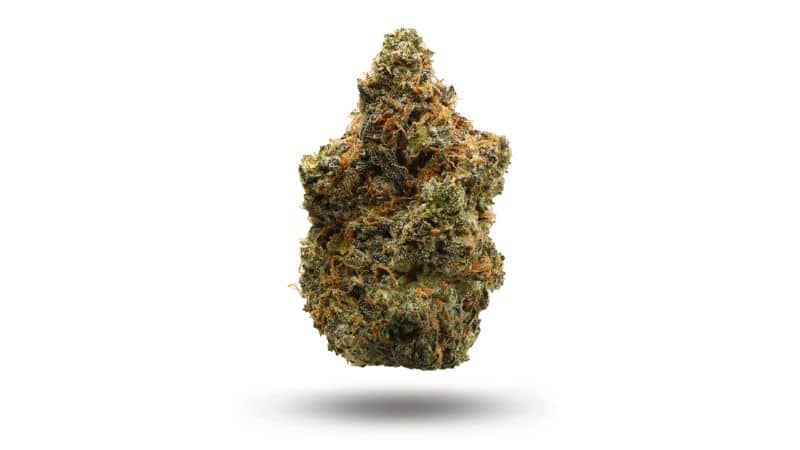 This flower crosses OG Kush with San Fernando Valley OG and Pink Kush, and is a variation of the popular Larry OG strain.