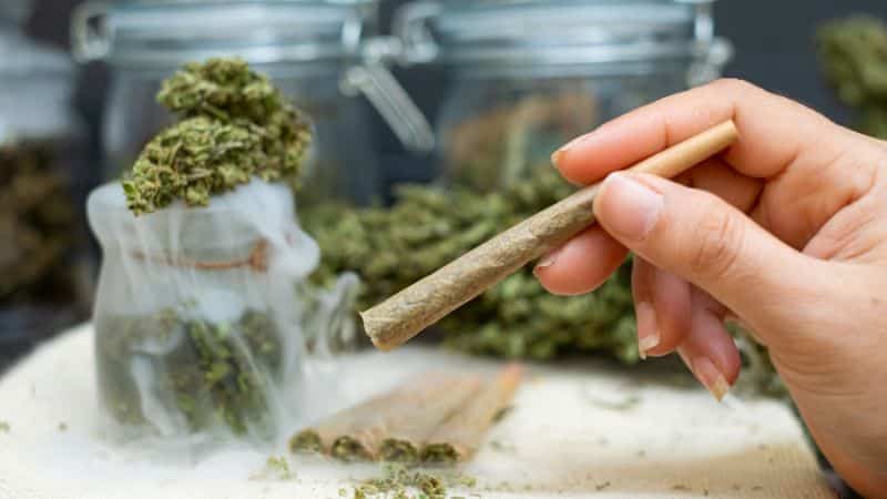 Many stoners prefer to smoke weed flowers to experience their full flavour and aroma.