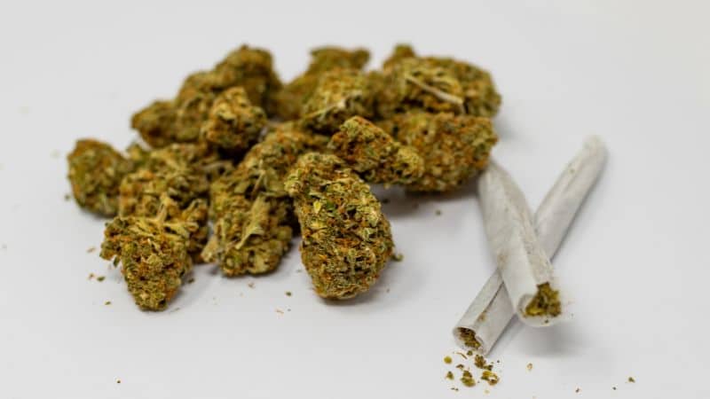 THC is the main psychoactive cannabinoid in the cannabis plant and is responsible for how high we feel when we smoke weed.