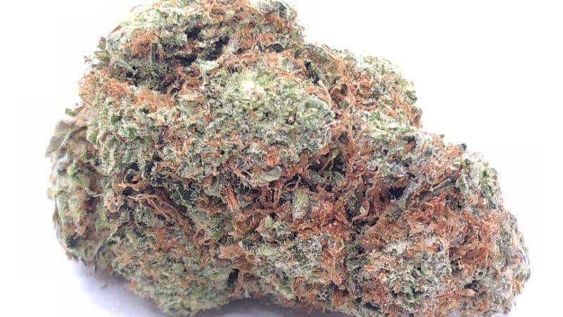 The Alaskan Thunder Fuck strain features a unique terpene profile dominated by citrus, earthy notes, and pine with dense, trichome-covered nugs