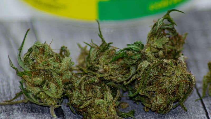 The crossbreeding of these two cannabis strains resulted in a balanced hybrid that perfectly blends the best qualities of its parent buds.