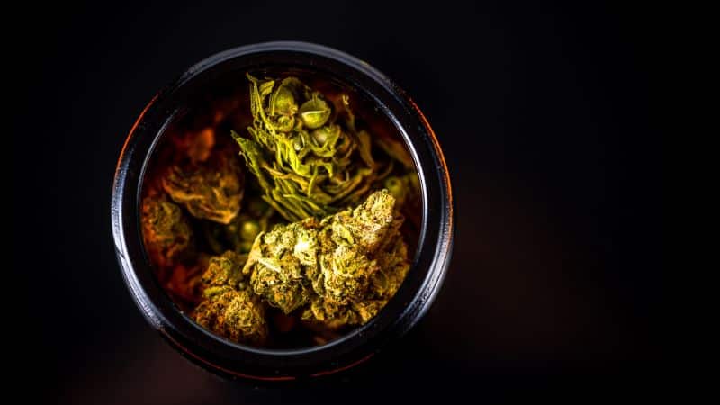 The intriguing aroma and taste of the Alien OG strain you're already craving are credited to its terpene profile.