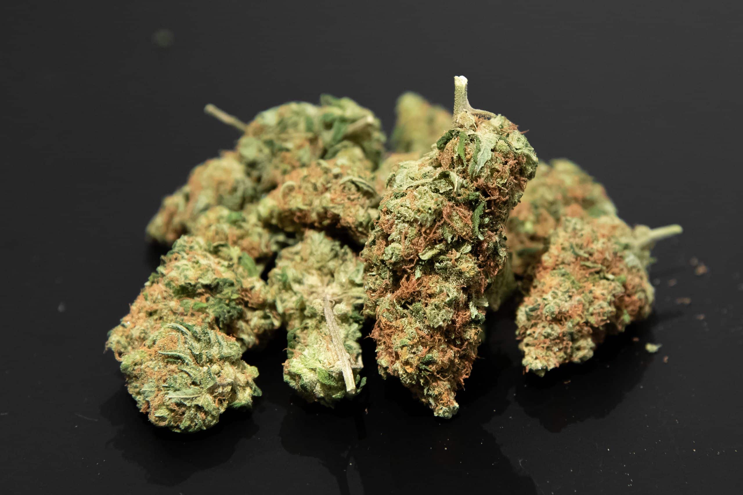 The aromas and flavours of Acapulco Gold weed are deeply influenced by its rich terpene profile