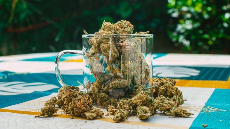 Buy craft weed in Canada if you want to taste marijuana grown in small batches by experts who put your needs first. These buds are hand-trimmed, slow-cured, and absolutely delicious.