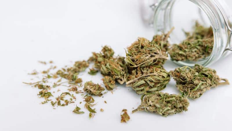 Overall, the Tom Ford strain has a grounded, well-rounded flavour profile that complements its relaxing properties.