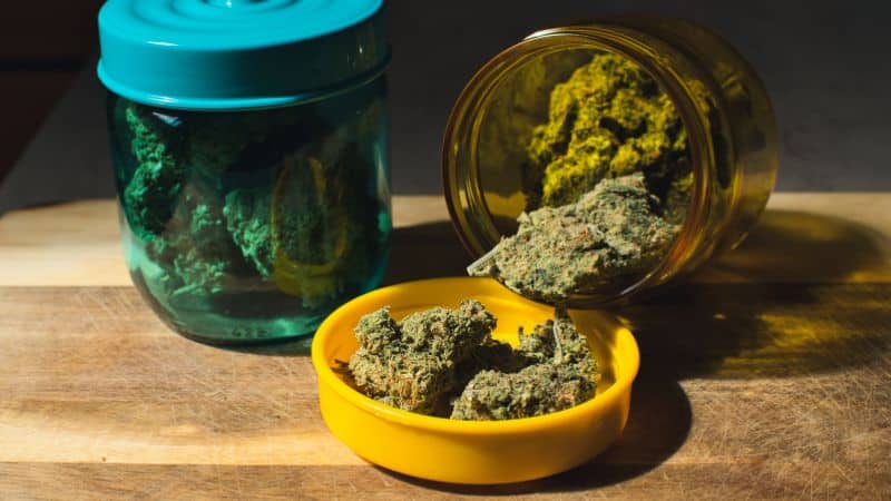 The moment you open a jar of the Cherry Pie weed strain, you’re hit with this warm, dessert-like aroma that’s almost impossible to ignore. 