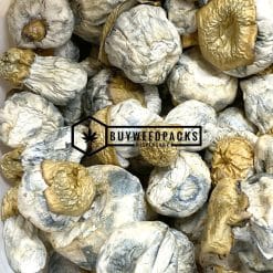 Avalanche Magic Mushrooms | Buy Online Weeds | Buyweedpacks