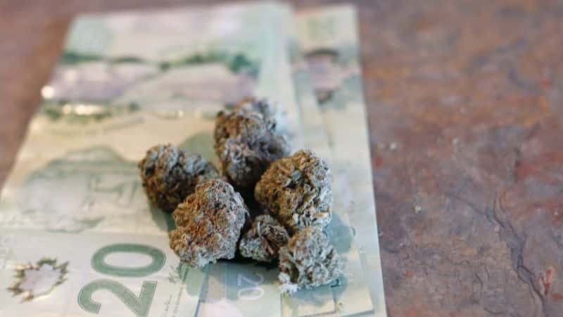 The truth about getting the best deal on weed comes down to knowing what you want and finding an online dispensary that offers that product at an affordable price without compromising the quality.