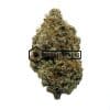 Blue City Diesel - Online Dispensary Canada - Buyweedpacks