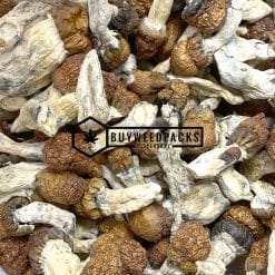 Blue Pulaski Magic Mushrooms | Buy Online Weeds | Buyweedpacks