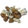 Blue Pulaski Magic Mushrooms | Buy Online Weeds | Buyweedpacks