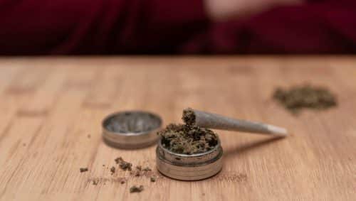 Want the best high? Get top strain picks and insider tips on how to buy pot online in Canada. Choose smarter and get quality weed delivered.