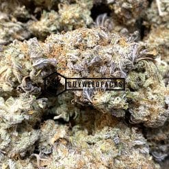 Caked Cactus - Online Dispensary Canada - Buyweedpacks