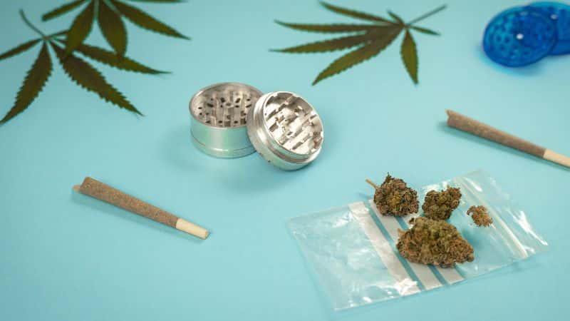 Thanks to years of cultivation, breeding, and varying consumer needs, we now have a variety of cannabis strains to suit different needs and preferences.