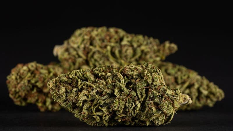 If you're relying on onlin⁠e rev⁠iews to make your cannabis purchase deci⁠sions, you'll come across a lot of information, some of which is true, and some misleading.