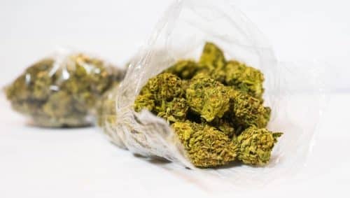 Here is the truth about cheap buds,& learn how to shop smart f⁠or premi⁠um⁠ cannabis through trusted online dispensaries in Canada.