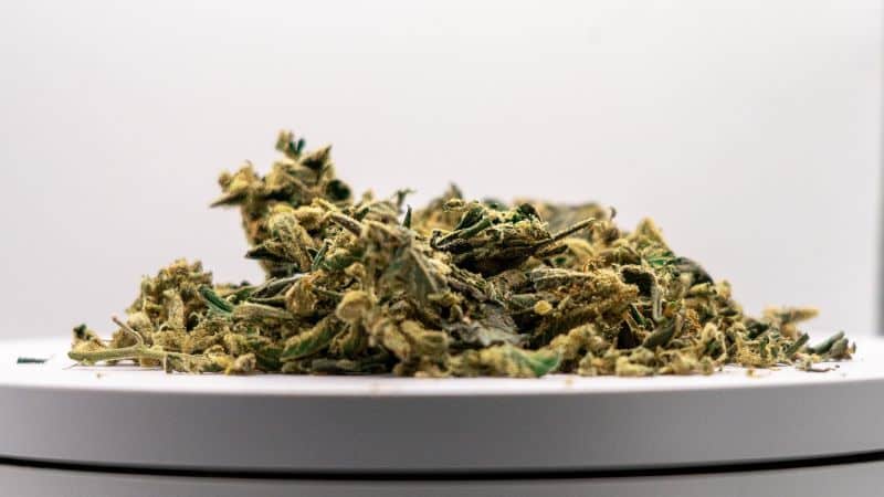 A lot of the magic comes down to its terpene profile, the aromatic and flavourful compounds in cannabis that shape how it smells, tastes and makes you feel.