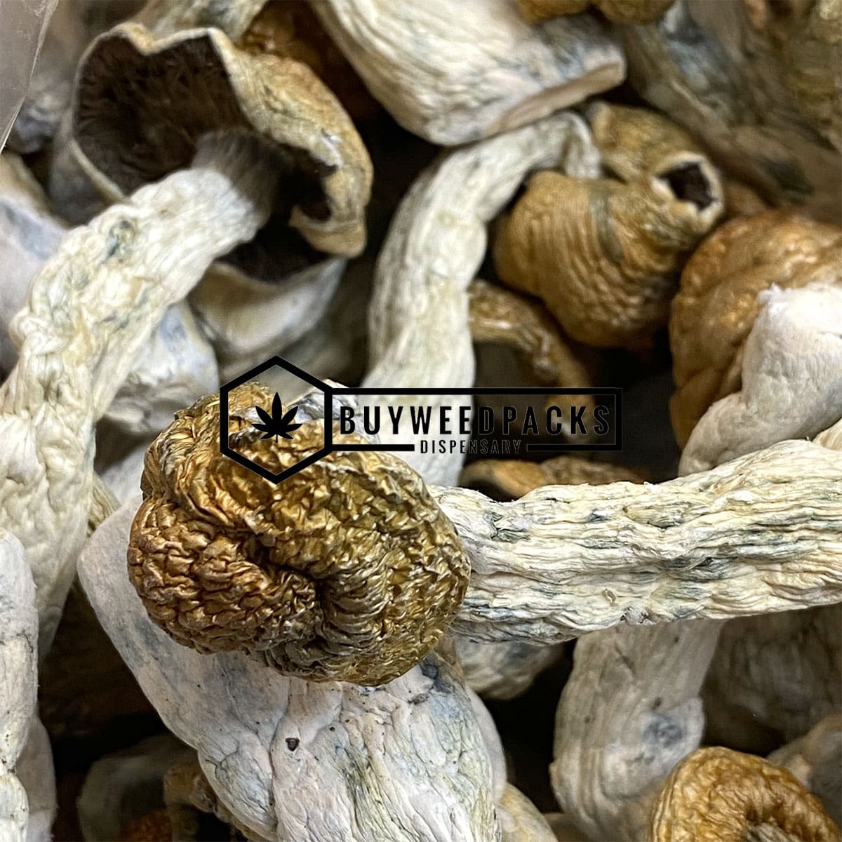 Code Blue Magic Mushrooms | Buy Online Weeds | Buyweedpacks