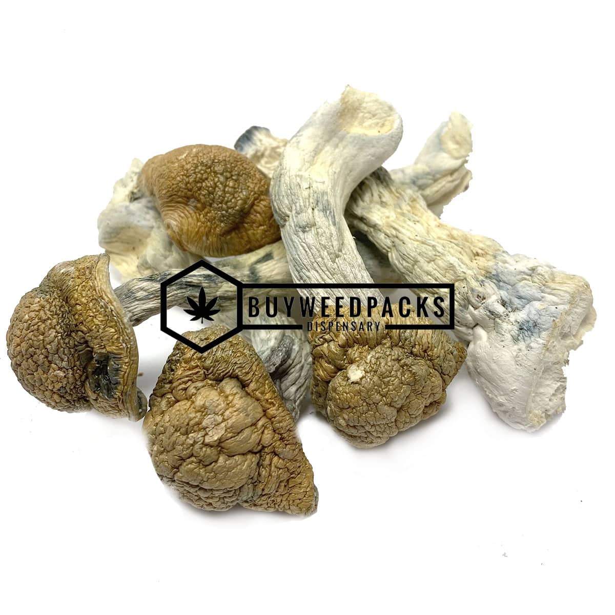 Code Blue Magic Mushrooms | Buy Online Weeds | Buyweedpacks