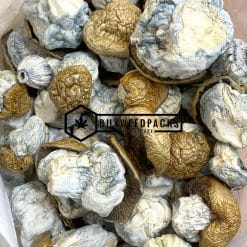 Dino Eggs Magic Mushrooms | Buy Online Weeds | Buyweedpacks