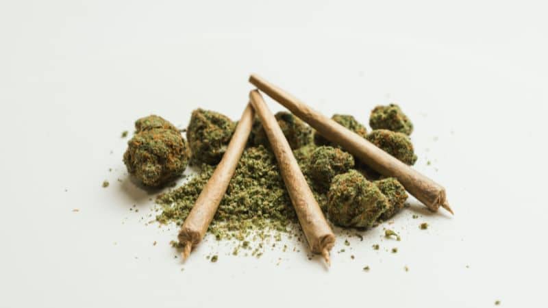 The Blue Cheesecake strain delivers a smooth, rich flavour that mirrors its aroma. Each drag bursts with juicy blueberry sweetness, followed by a creamy mid-palate reminiscent of tangy cheesecake.