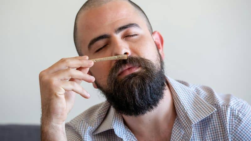 Taste it and you’ll notice a mix of fuel, earth, and spicy herbs lingering on your tongue. I also detected a sharp and diesel-forward scent that fills my bedroom quickly. Since then, I’ve been smoking Gas Mask weed with the windows open.