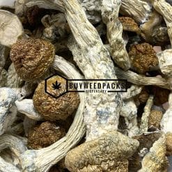 GC Thrasher Magic Mushrooms | Buy Online Weeds | Buyweedpacks