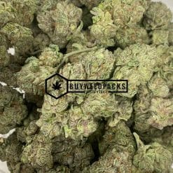 Gelato 41 - Online Dispensary Canada - Buyweedpacks