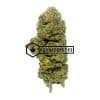 Gelato 41 - Online Dispensary Canada - Buyweedpacks