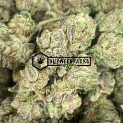 Gelato 41 - Online Dispensary Canada - Buyweedpacks